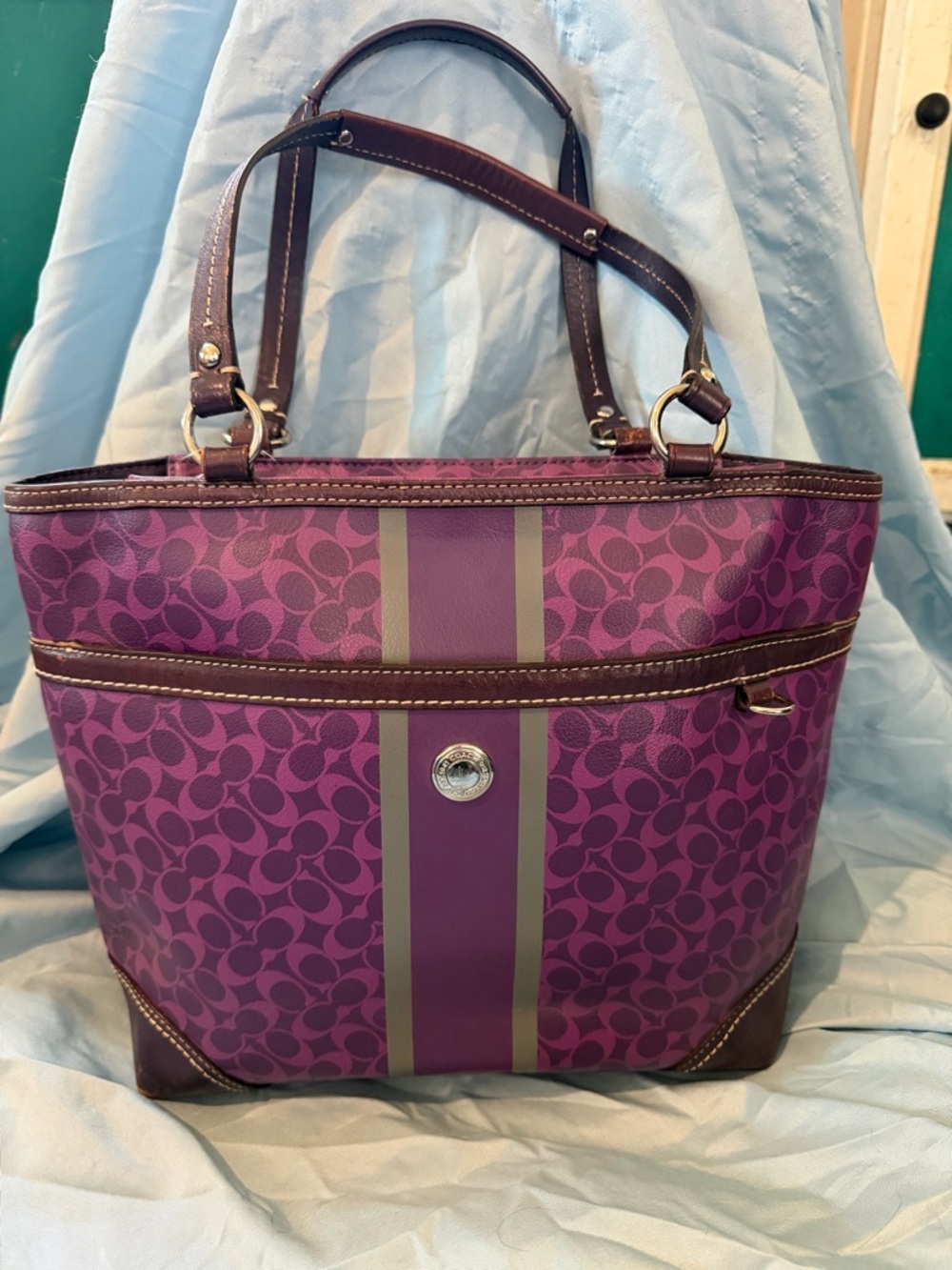 Coach 2010 Purple Signature Stripe Tote Bag